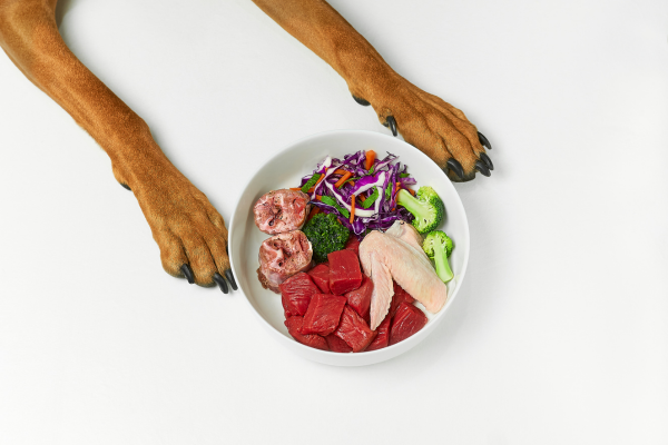 I Cani Possono Mangiare la Carne Cruda? – Amici e Natura iTALIA