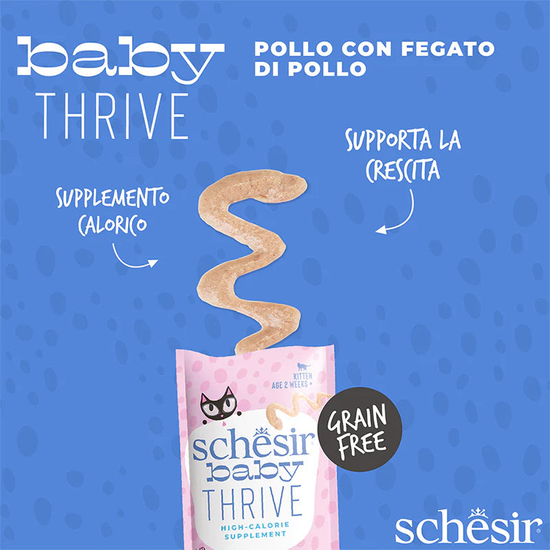 Schesir Baby Thrive Pollo con Fegato in Crema 20x8g - Umido per Gatto